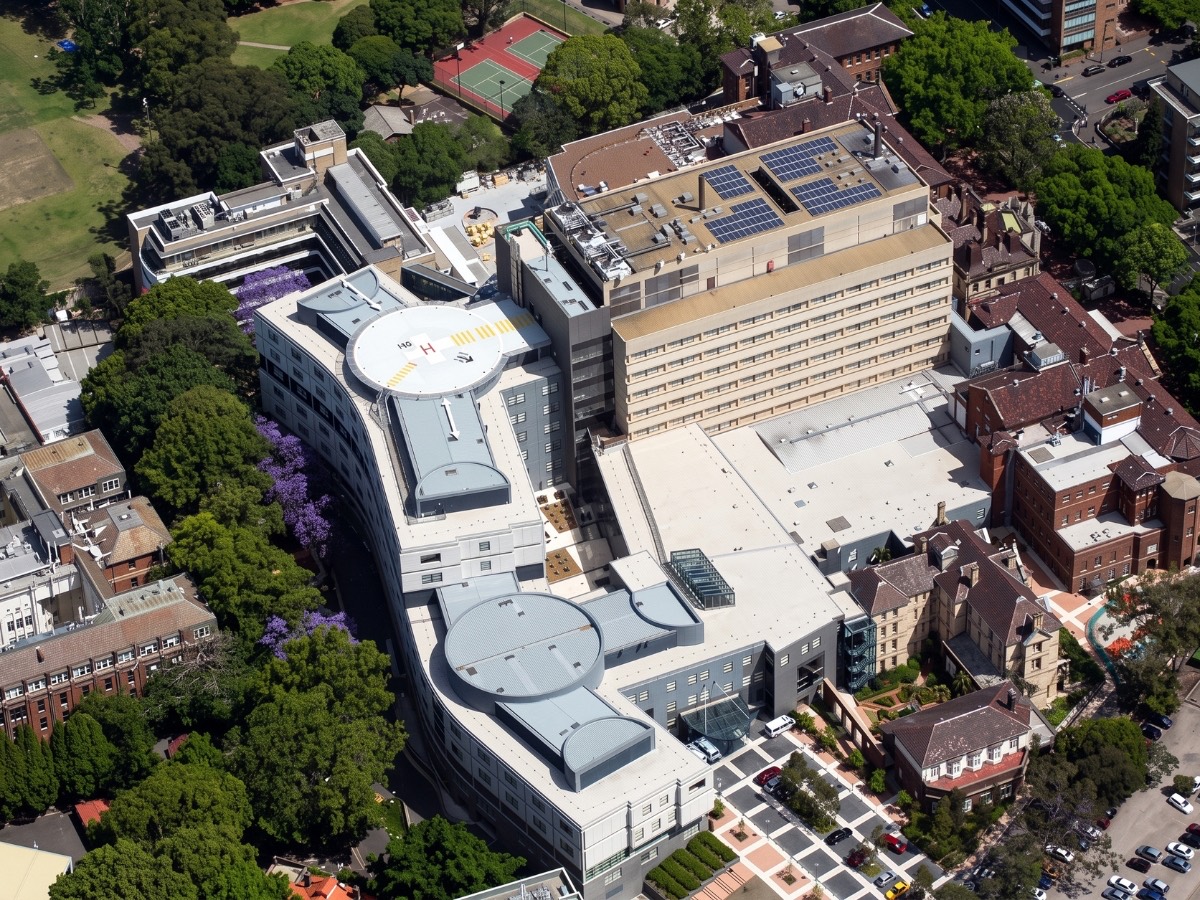 Royal Prince Alfred Hospital — painting by rope access
